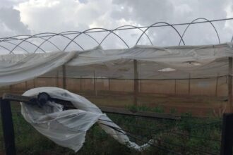 CHUVA